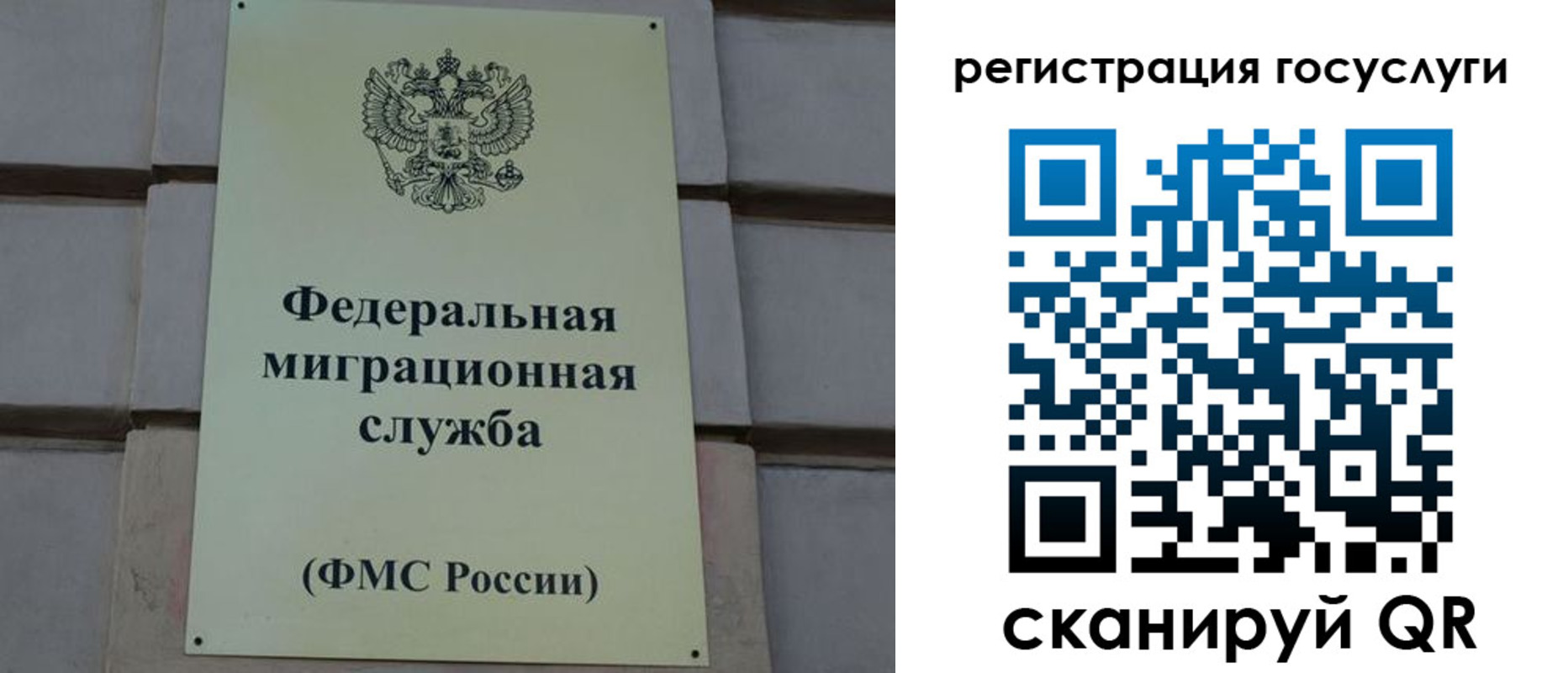 временная регистрация поиск в Могочи